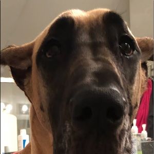 Meet your Posher, Chloe